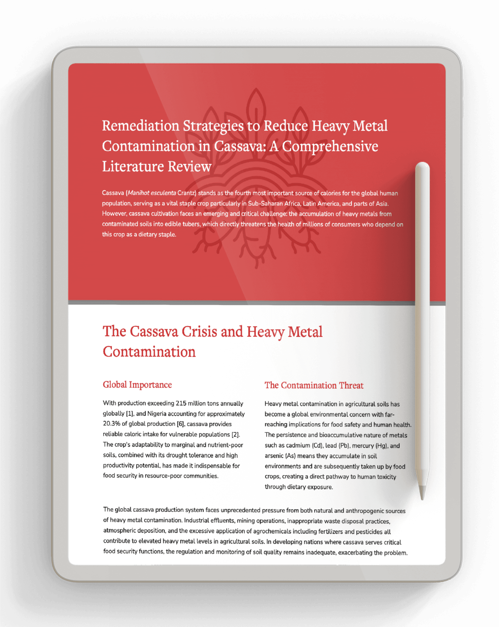 Remediation Strategies to Reduce Heavy Metal Contamination in Cassava