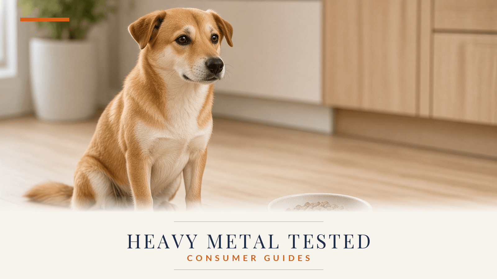 Heavy Metals in Dog Food: What Owners Should Know