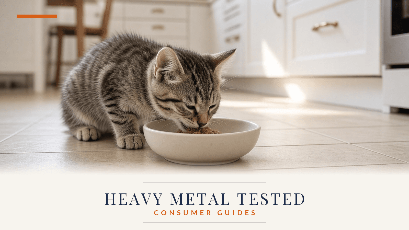 Heavy Metals in Kitten Food: What New Cat Owners Should Know