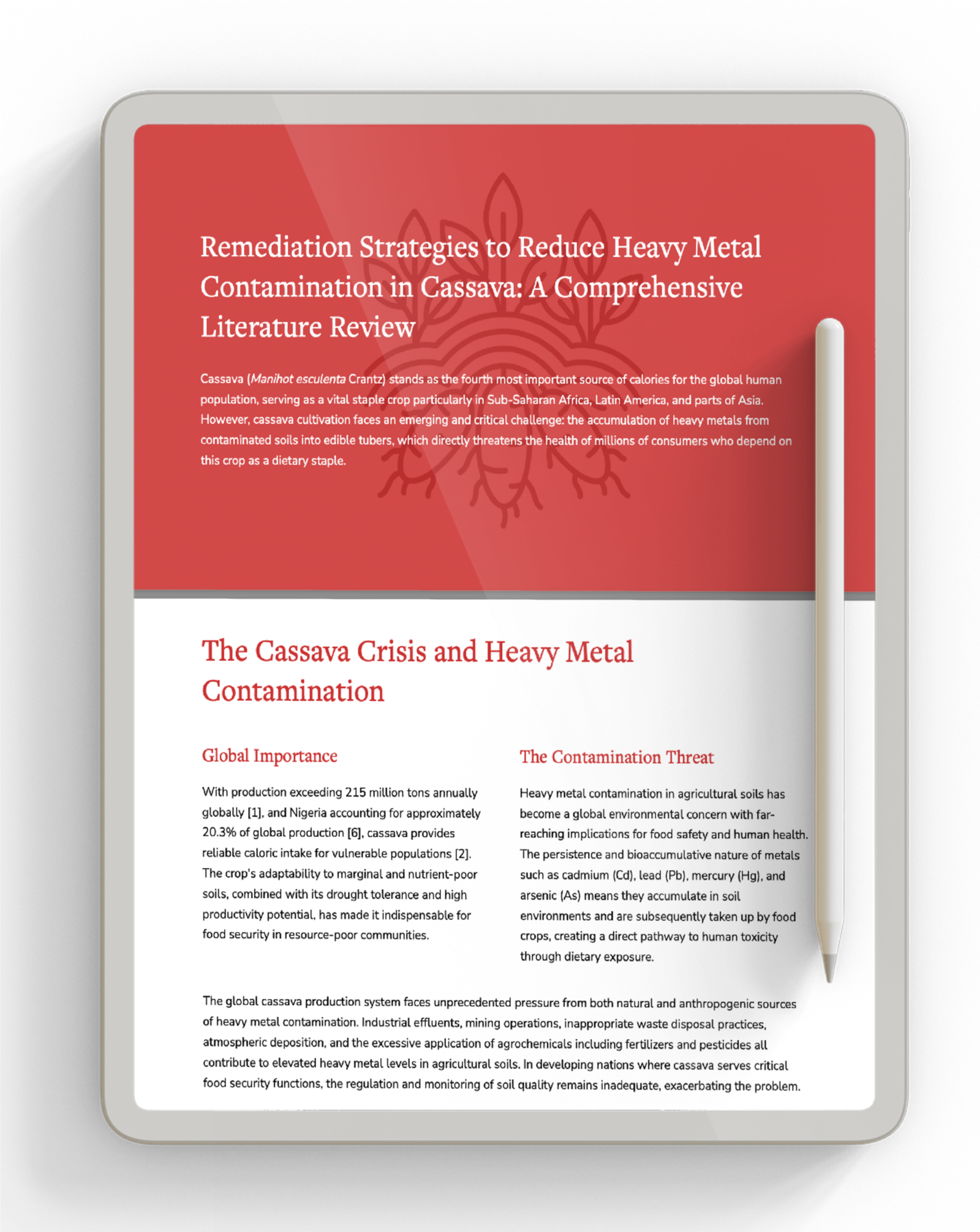 Remediation-Strategies-to-Reduce-Heavy-Metal-Contamination-in-Cassava-A-Comprehensive-Literature-Review